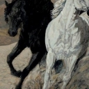 Desert Love Desert Love