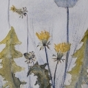 Otulone mgłą Otulone mgłą