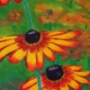 Rudbekie rude Rudbekie rude