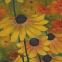 Rudbekie zolte Rudbekie zolte