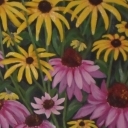 Rudbekie mieszane Rudbekie mieszane