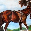 Kasztanka. Kasztanka.