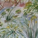 Wodnik szuwarek - gdzie się ukrywa? Wodnik szuwarek - gdzie się ukrywa?