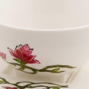 W magnolie W magnolie