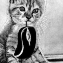 Trofeum myśliwskie Trofeum myśliwskie