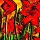 Czerwienie Czerwienie