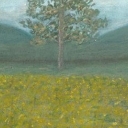 Samotne drzewo Samotne drzewo