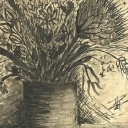 Polne kwiaty Polne kwiaty