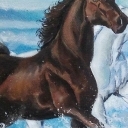 Dzikie konie Dzikie konie