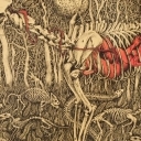 Wilk i jego Cień Wilk i jego Cień