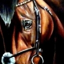 Portret konia Portret konia