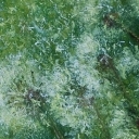 dmuchawce latawce dmuchawce latawce