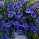 kwiatuszki kwiatuszki