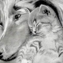 Przyjaciele Przyjaciele