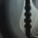 Human Nature - Attente Human Nature - Attente