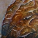 Jesienny motyl Jesienny motyl