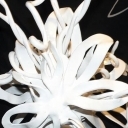 ABSTRAFLOR bis ABSTRAFLOR bis