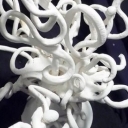 Drzewo życia Drzewo życia