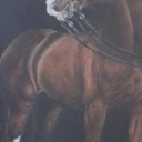 koń Fryderyksborski koń Fryderyksborski