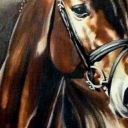 Portret konia Portret konia