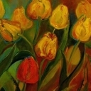 Tulipany