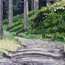 Las bukowy Las bukowy