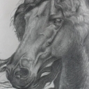 Koń Fryzyjski Koń Fryzyjski