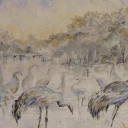 Żurawie II Żurawie II