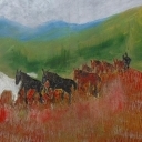 Połonina Witelińska Połonina Witelińska