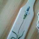 Trawa polna (lisi ogon)