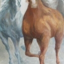 Konie, dumne konie...