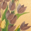 Tulipany 1
