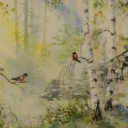 Leśne światło Leśne światło