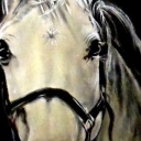 Portret konia Portret konia