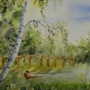 Wiosna z bażantem Wiosna z bażantem