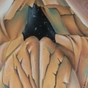 Wstaje dzień Wstaje dzień