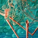 Geometricus Rex Geometricus Rex