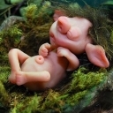 Mały śpiący troll