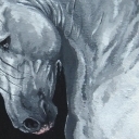 Andalusian Stallion Andalusian Stallion