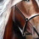 Portret konia Portret konia