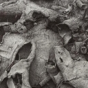 Planety, wykrot Planety, wykrot