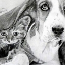 Przyjaciele Przyjaciele