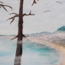 Zatoka (adagio) Zatoka (adagio)