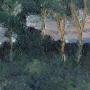 Kilka drzew Kilka drzew