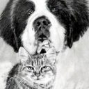 Przyjaciele Przyjaciele