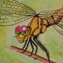 Ważka III Ważka III