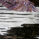 Orle łowy Orle łowy