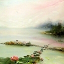 ZATOKA NENUFARÓW ZATOKA NENUFARÓW