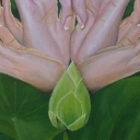 Lotus Hands Lotus Hands