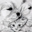 Mali przyjaciele Mali przyjaciele